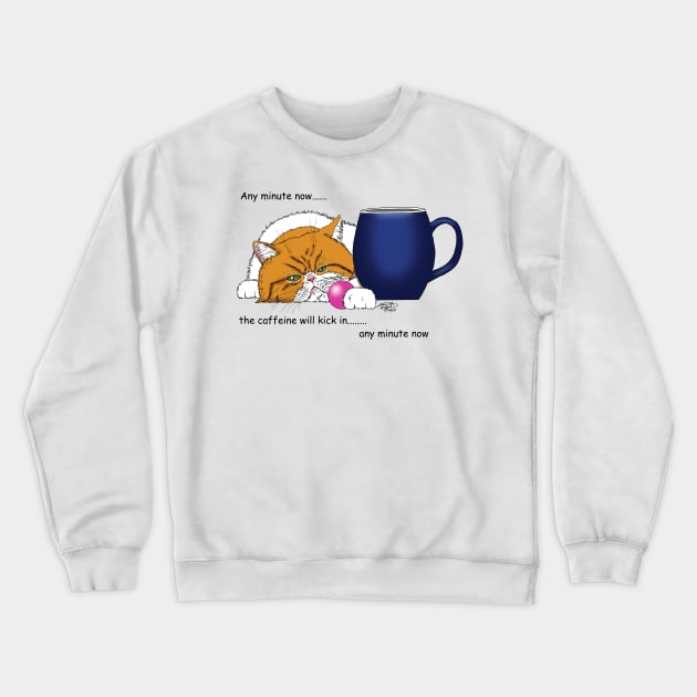 Any Minute Now... Crewneck Sweatshirt by tigressdragon